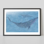 Deux dauphins en bleu dans l'eau