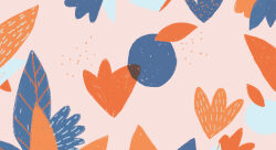 ORANGE - Charlotte Chappaz-illustrateur