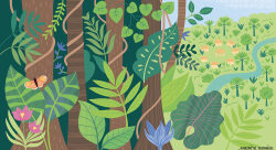 illustration01_ForetAmazonniene.jpg - Sandrine Monnier-illustrateur-jeunesse