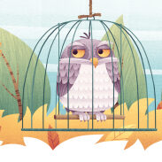 Oiseau dans une cage avec compagnons